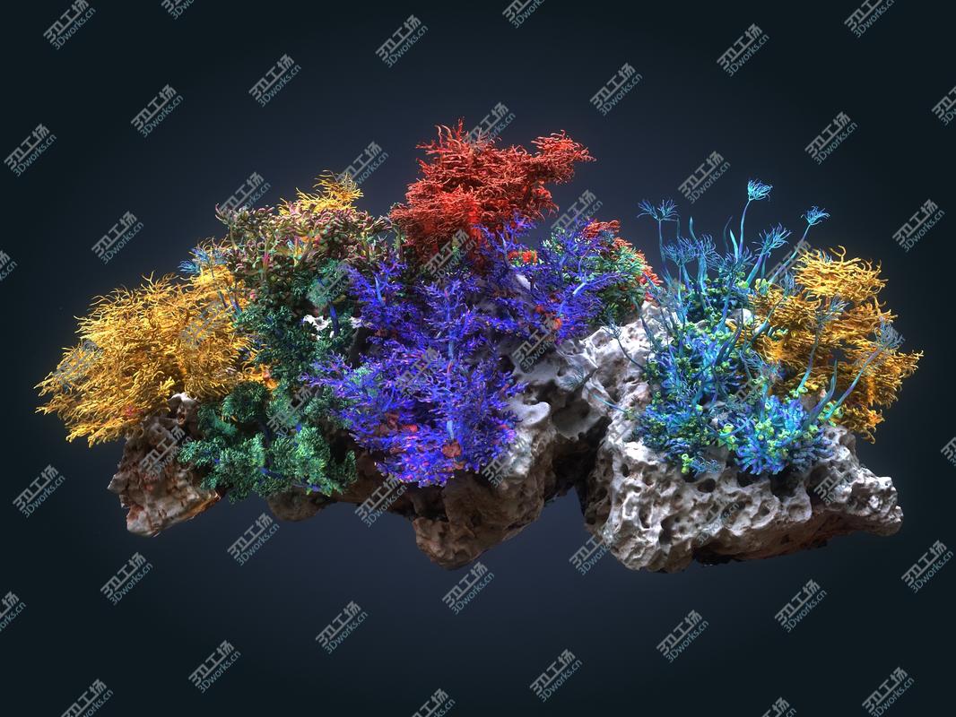images/goods_img/202104021/3D Coral reef ecosystem Animated Pack 2/4.jpg